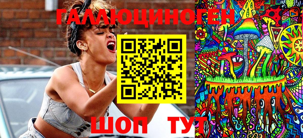 купить  сайты  Псилоцибиновые грибы GOLDEN TEACHER  Вход с VPN  Шадринск 