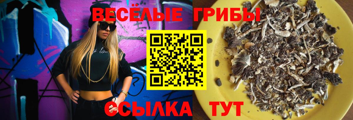 Псилоцибиновые грибы Cubensis Шадринск